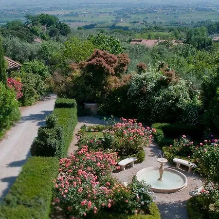 Cicolina * Montepulciano Stazione