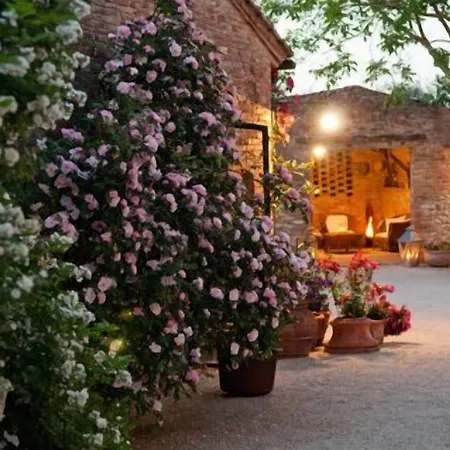Cicolina Casa de Campo