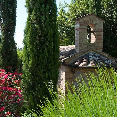 Cicolina * Montepulciano Stazione